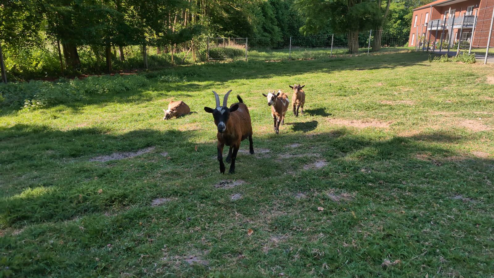 img-20250517-wa0009.jpeg